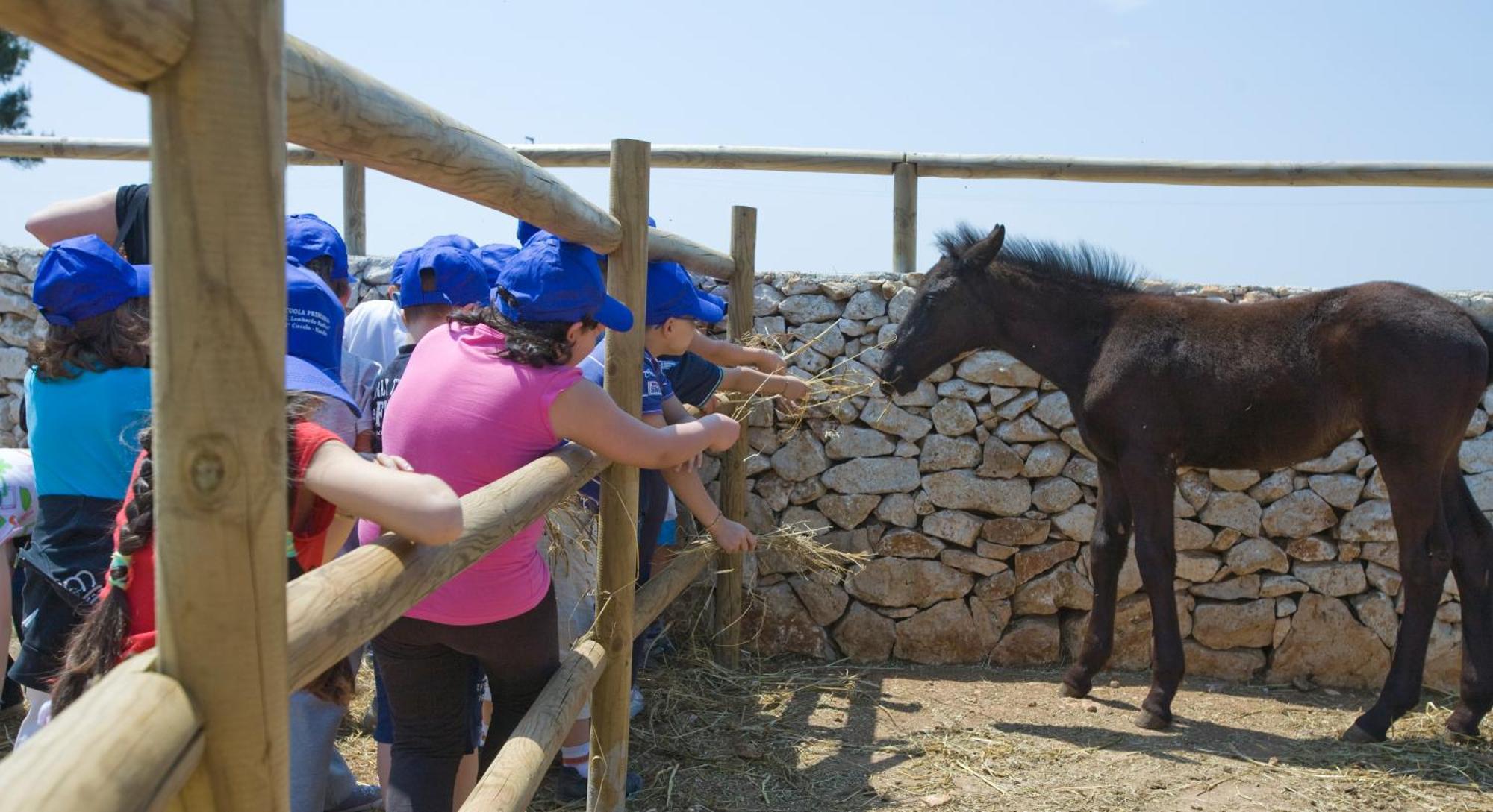 Agriturismo Scalelle Otranto Exteriér fotografie
