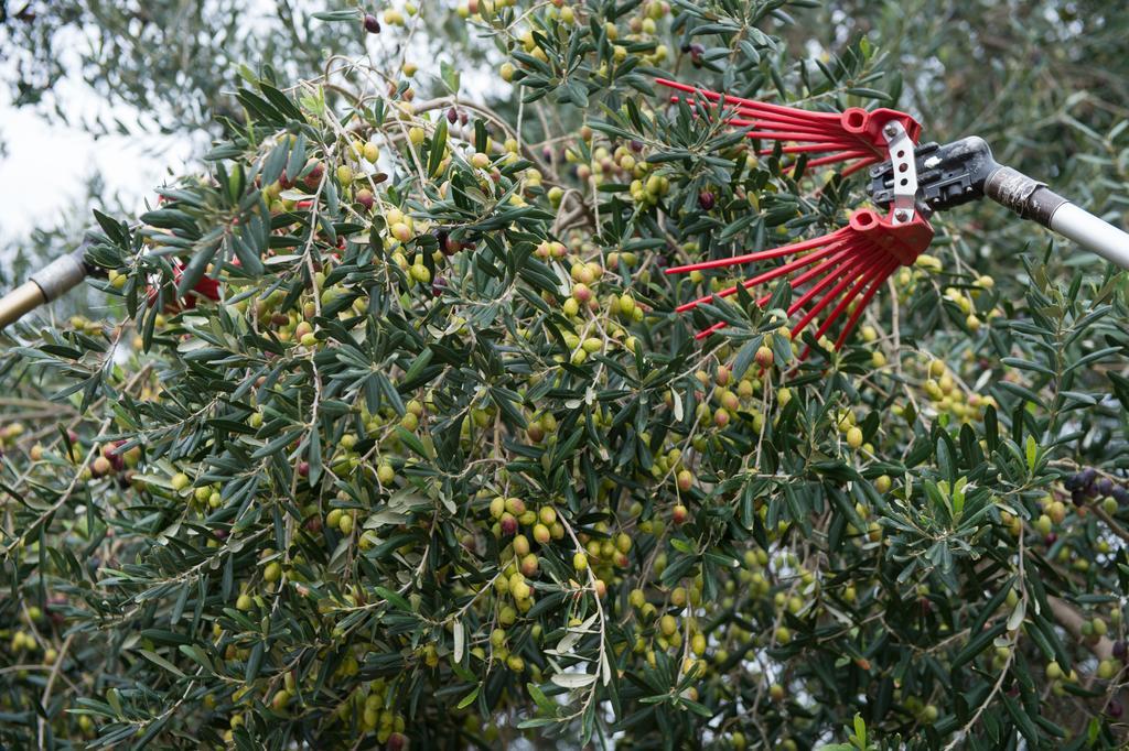 Agriturismo Scalelle Otranto Exteriér fotografie